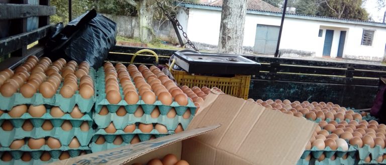 Fiscalização recolhe caixas de ovos que eram vendidos em um caminhão