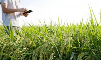 Novas tecnologias digitais auxiliam produção no campo