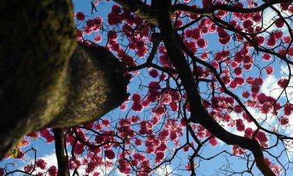 Primavera começa com previsão de calor e sem chuva em Cachoeira do Sul