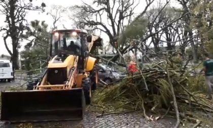 Vento e chuva derrubam árvores na frente da Prefeitura