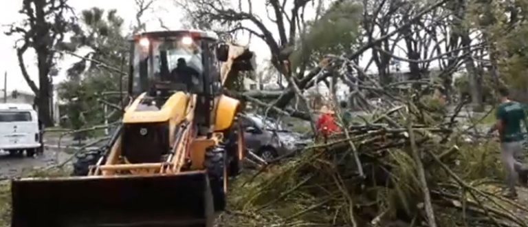 Vento e chuva derrubam árvores na frente da Prefeitura