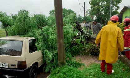 Temporal causa prejuízos e transtornos na região central