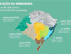 RS semeia 109 mil hectares de arroz em uma semana