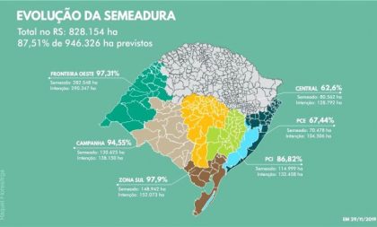 RS semeia 109 mil hectares de arroz em uma semana