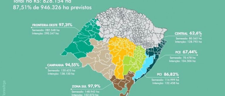 RS semeia 109 mil hectares de arroz em uma semana