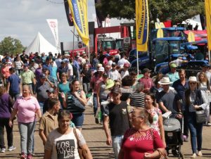 Expoagro Afubra 2020 abre inscrições para agroindústrias familiares