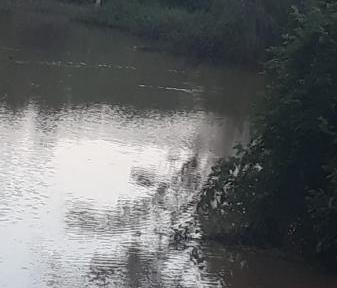 Cachoeirense é encontrado morto num arroio em Venâncio Aires