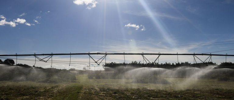 Governo quer mudar seguro agropecuário