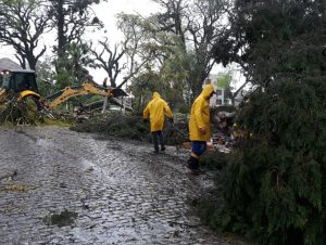 Prejuízos com o temporal chegam a R$ 18 milhões em Cachoeira do Sul