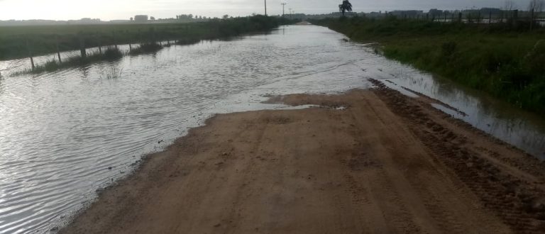 Enchente causou prejuízos de R$ 40 milhões na agricultura