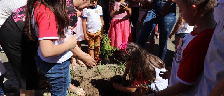 Novo Cabrais – Projeto sobre meio ambiente é desenvolvido na Teófilo