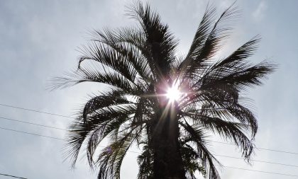 Calor e pouca chuva marcam próximos dias