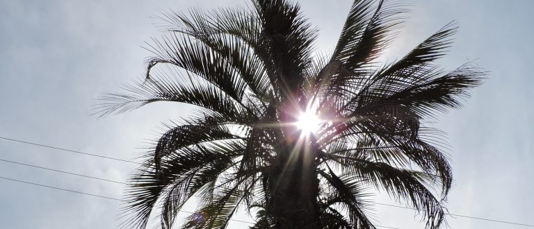 Calor e pouca chuva marcam próximos dias