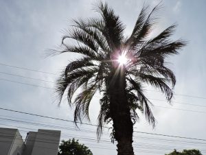 Cachoeira do Sul terá 12 dias seguidos com máximas acima dos 30°C