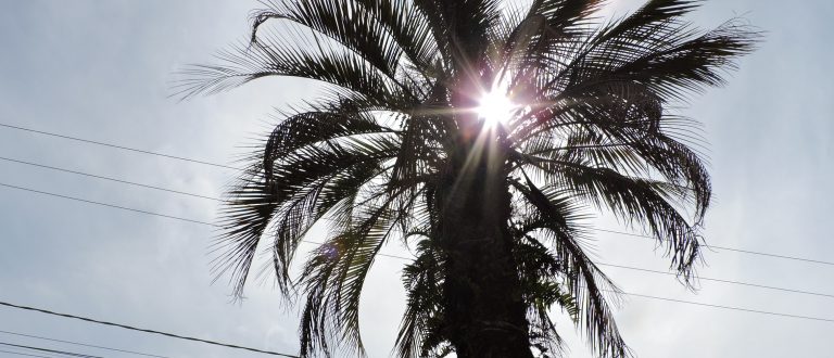 Cachoeira do Sul terá 12 dias seguidos com máximas acima dos 30°C