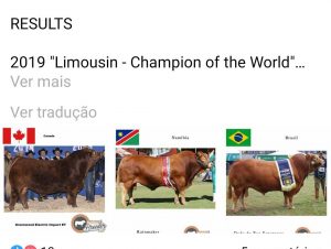 Limousin de Cachoeira é o 3º melhor do mundo