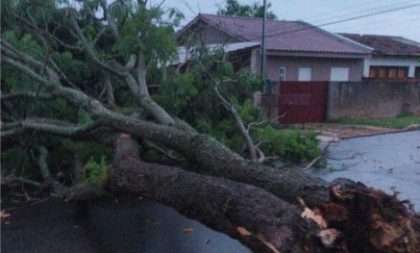 Chuvarada com vento causa transtornos em Cachoeira do Sul