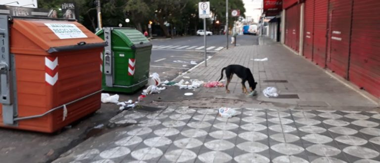 A cidade de 350 contêineres com lixo espalhado para cachorro comer