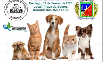 Domingo tem Feira de Adoção de Filhotes na Praça do Bairro Soares