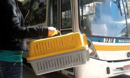 Passageiros de ônibus intermunicipais poderão viajar com pets sem pagar tarifa extra