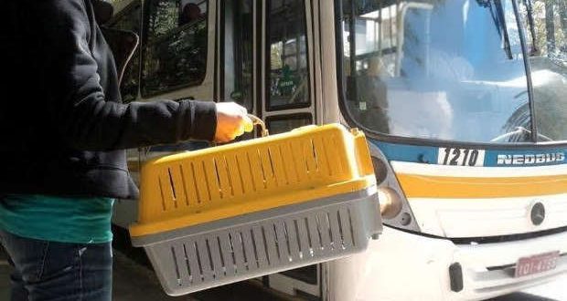 Passageiros de ônibus intermunicipais poderão viajar com pets sem pagar tarifa extra