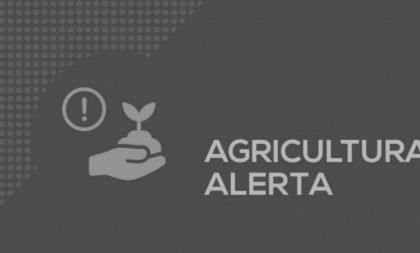 Agricultura alerta para golpistas que oferecem produtos em nome do Estado