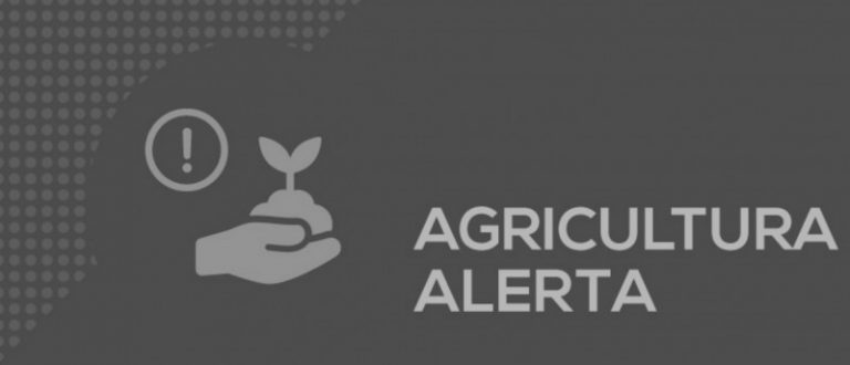 Agricultura alerta para golpistas que oferecem produtos em nome do Estado