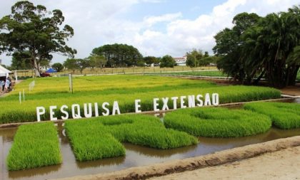 Irga destaca seus 80 anos na Abertura da Colheita do Arroz