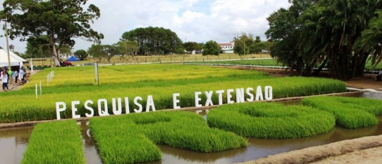 Irga destaca seus 80 anos na Abertura da Colheita do Arroz