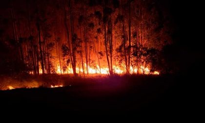 VÍDEO – Bombeiros de Cachoeira do Sul combatem fogo em mata no interior de Novo Cabrais