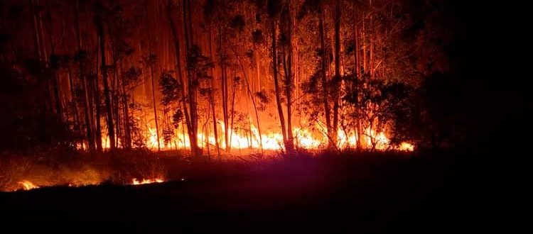 VÍDEO – Bombeiros de Cachoeira do Sul combatem fogo em mata no interior de Novo Cabrais