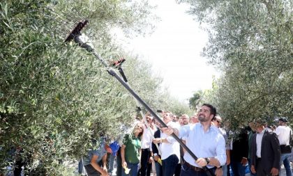 Na abertura da colheita de oliva promessa de estímulo ao setor