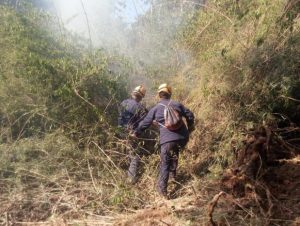 Incêndio em mata fechada desafia bombeiros em Agudo