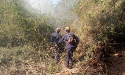 Incêndio em mata fechada desafia bombeiros em Agudo