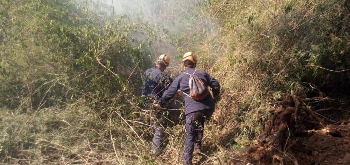 Incêndio em mata fechada desafia bombeiros em Agudo