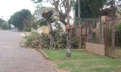 Moradores reclamam de corte de árvores no Bairro Tupinambá