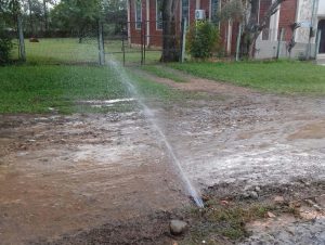 Água potável há uma semana alaga rua do Bairro Otaviano