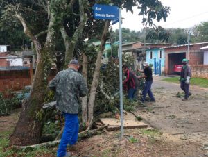 Vendaval derruba árvores e galhos pela cidade