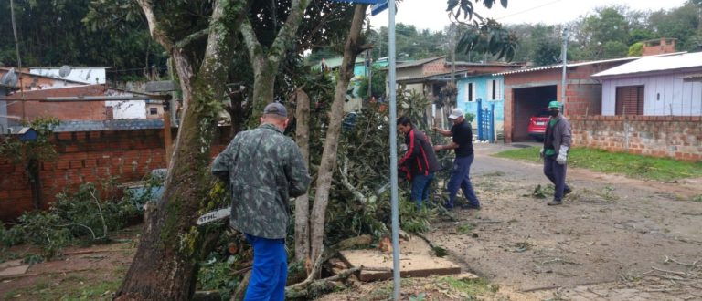 Vendaval derruba árvores e galhos pela cidade