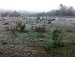 Geada toma conta da cidade e do interior