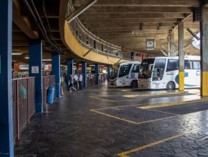 Exames de covid serão transportados gratuitamente por ônibus intermunicipais