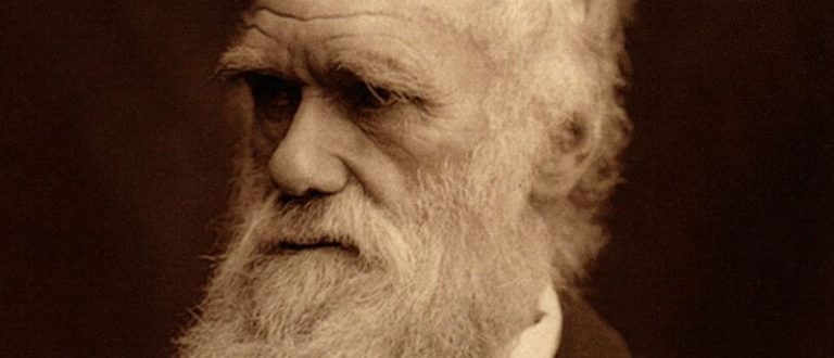 Teoria da Evolução: há 162 anos, Charles Darwin publicava suas ideias…