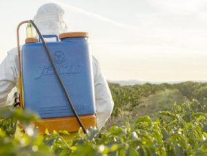 Pesquisadores descobrem substância natural com efeito semelhante ao glifosato