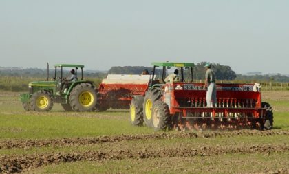 Eufóricos com preço, produtores devem aumentar área da lavoura de arroz no RS