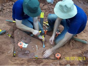 Pesquisadores apresentam dados inéditos sobre dinossauro brasileiro