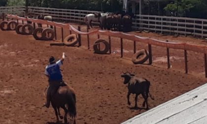 Treinos de laço voltam a ser permitidos nesta terça-feira em Cachoeira