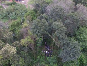 Polícia acredita em suicídio no caso de dentista