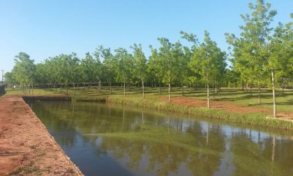 Empresário de Cachoeira do Sul mostra como ser sustentável sem gastar mais