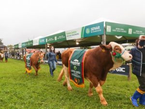 Edição digital da Expointer é oficialmente aberta com o tradicional desfile dos campeões