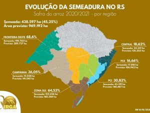 Semeadura do arroz no RS alcança 45,25%, aponta levantamento do Irga